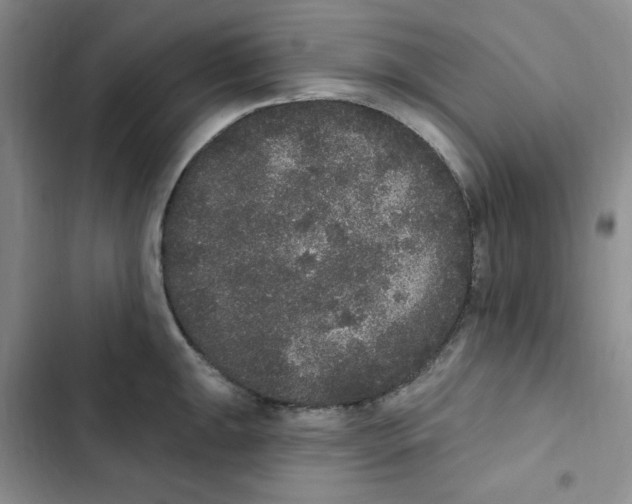 X0000102811047200809150947