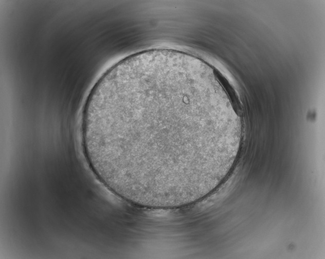 X0000102811048200809150947