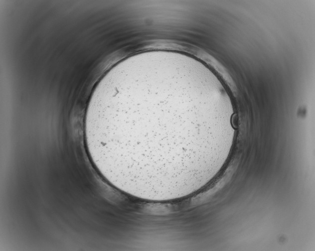 X0000102811049200809150947