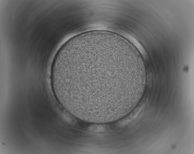 X0000102811051200809150947