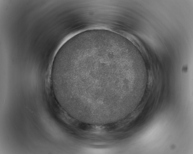 X0000102811052200809150947