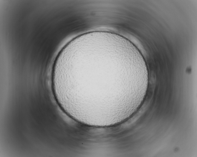 X0000102811054200809150947