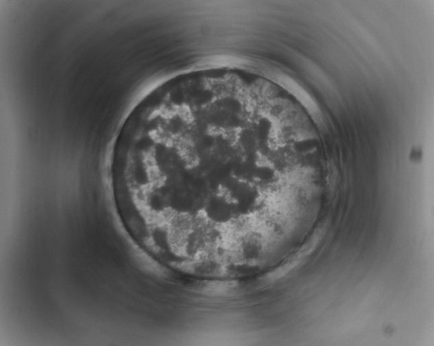 X0000102811055200809150947