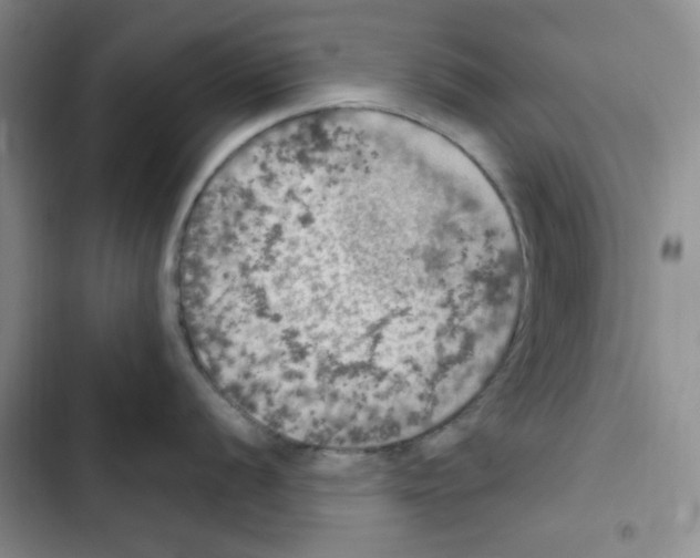 X0000102811056200809150947