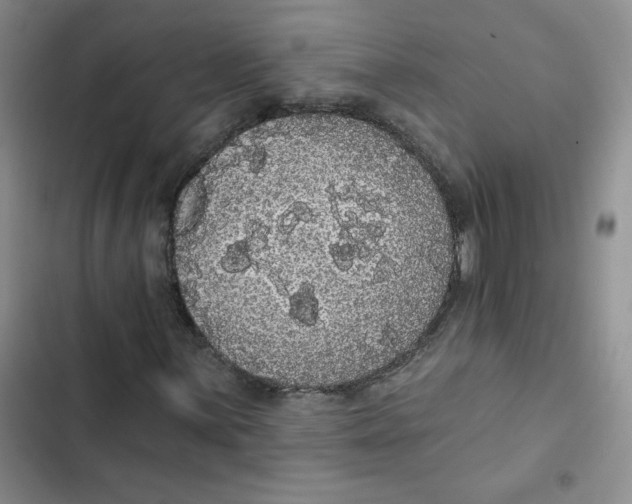 X0000102811059200809150946