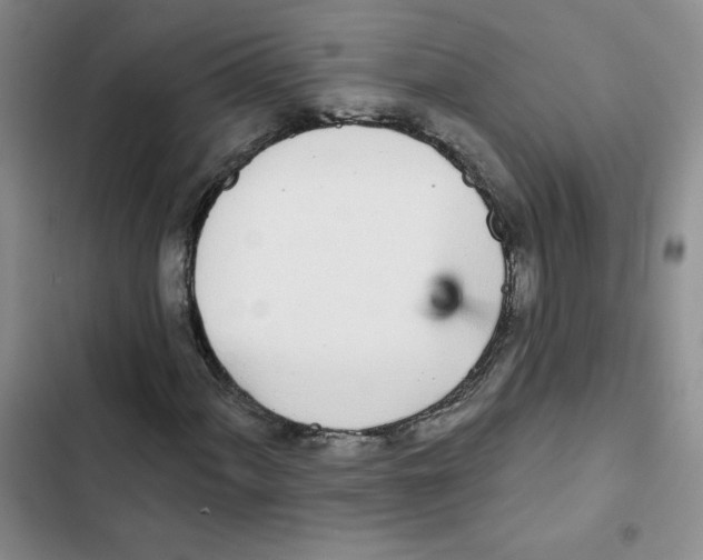 X0000102811060200809150946