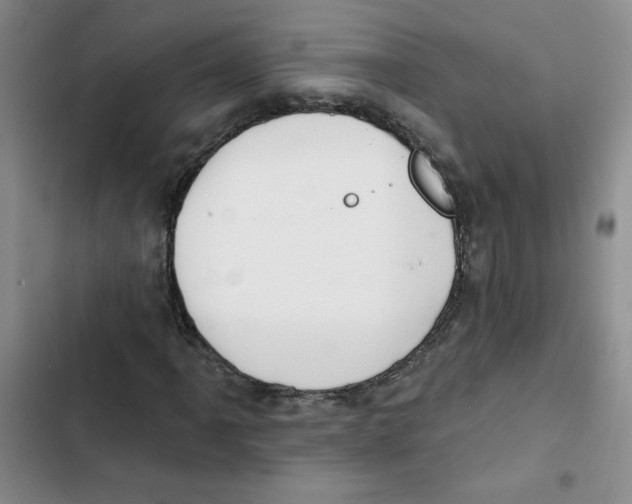 X0000102811061200809150946