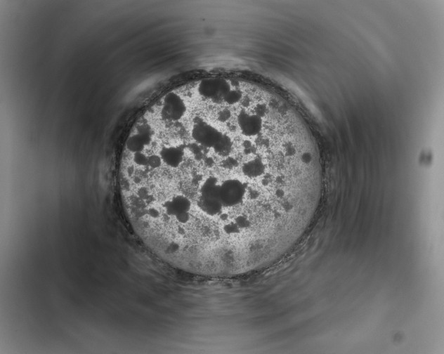 X0000102811063200809150946