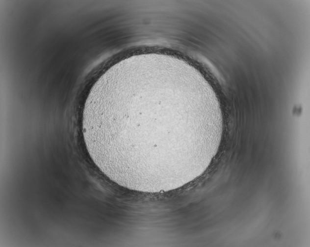 X0000102811064200809150946