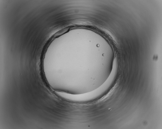 X0000102811065200809150946