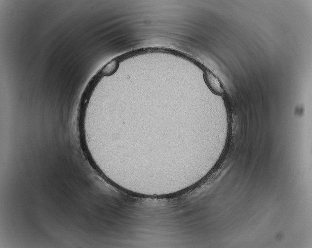 X0000102811068200809150946