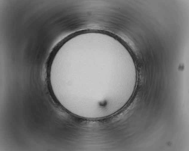 X0000102811070200809150946