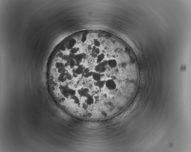 X0000102811071200809150946