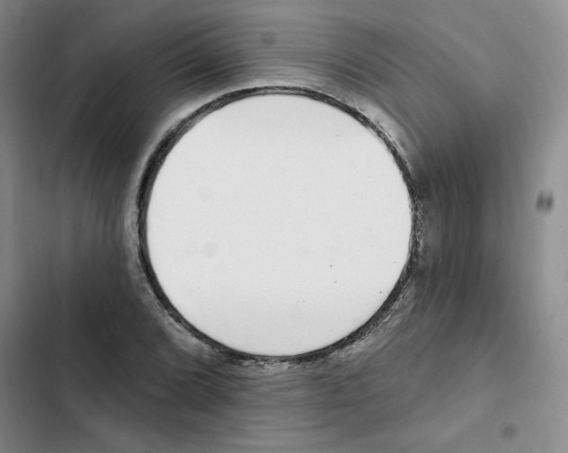 X0000102811072200809150946