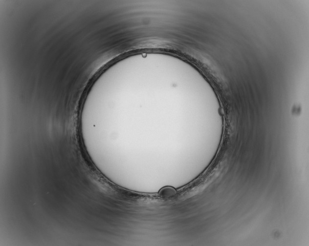 X0000102811073200809150946