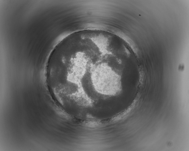 X0000102811074200809150946