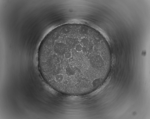 X0000102811075200809150946