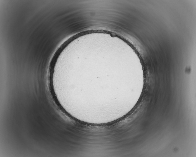 X0000102811076200809150946