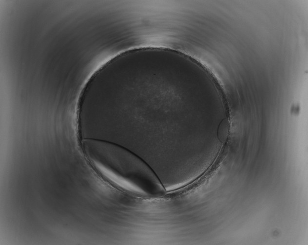 X0000102811077200809150946