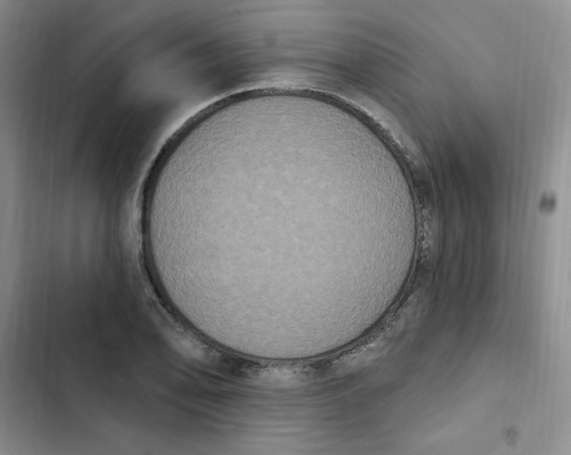 X0000102811078200809150946