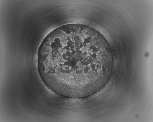 X0000102811079200809150946