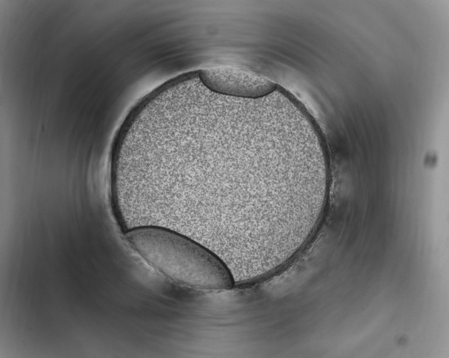 X0000102811080200809150946