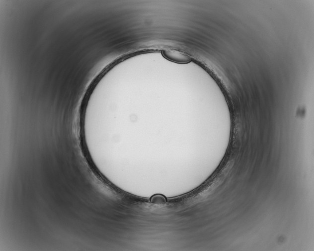 X0000102811082200809150946