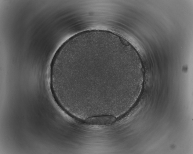 X0000102811084200809150946