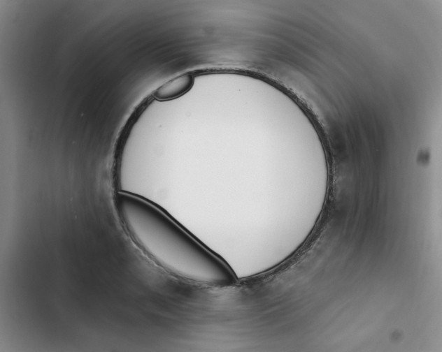 X0000102811085200809150946