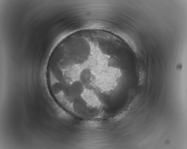 X0000102811086200809150946