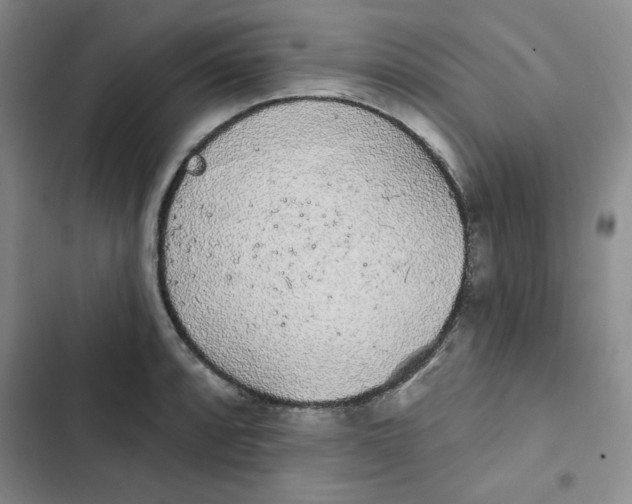 X0000102811088200809150946