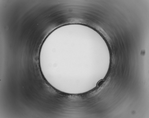 X0000102811089200809150946