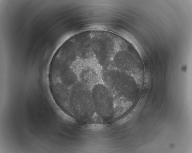 X0000102811090200809150946