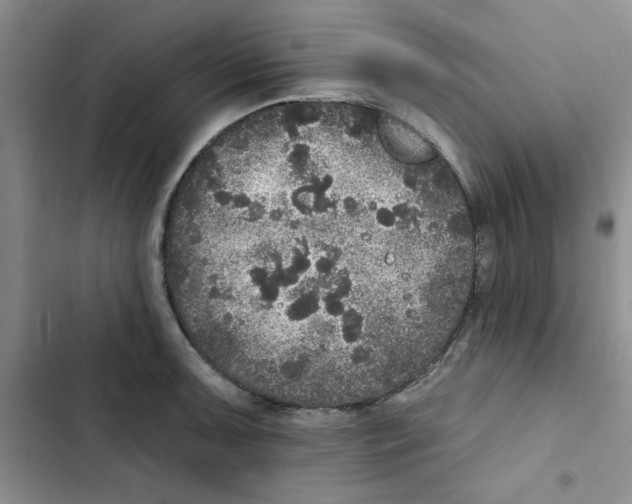 X0000102811091200809150946