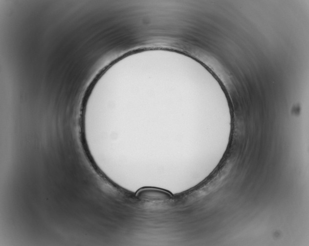 X0000102811093200809150946