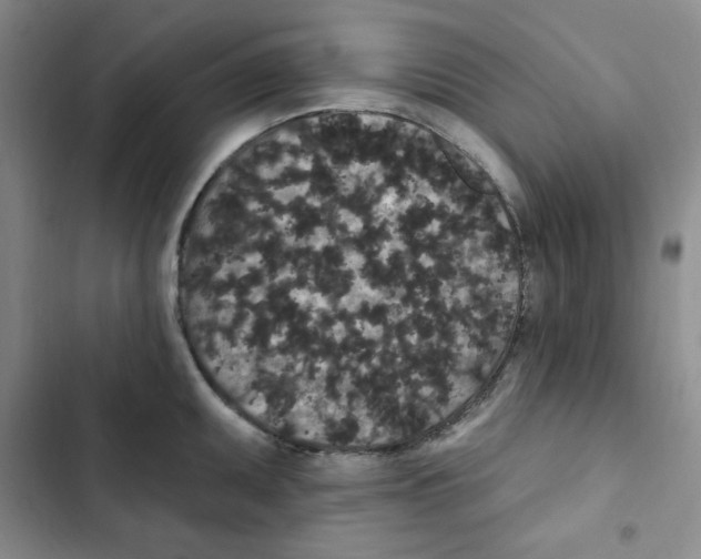 X0000102811095200809150946