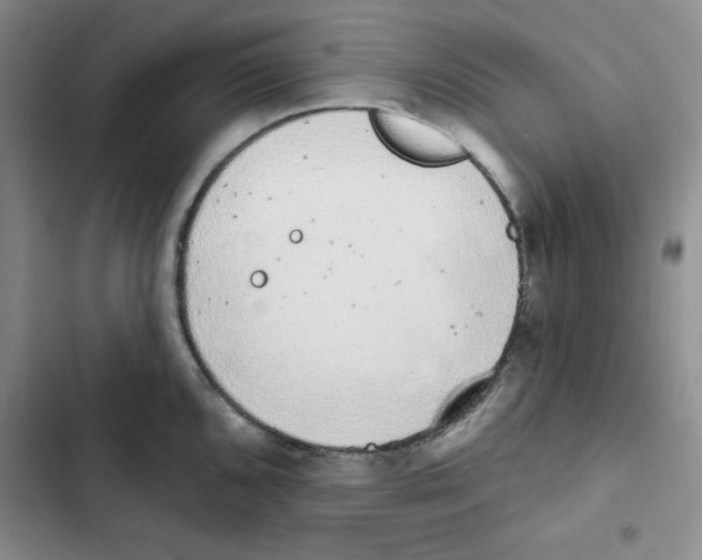 X0000102811096200809150946