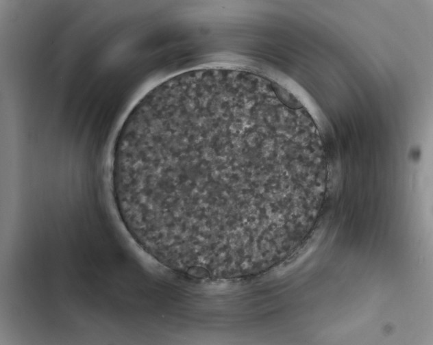 X0000102811099200809150946