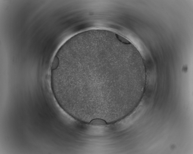 X0000102811100200809150946