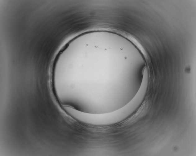 X0000102811101200809150946