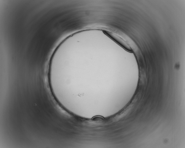 X0000102811102200809150946