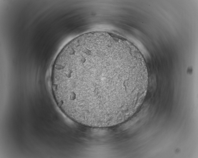 X0000102811103200809150946