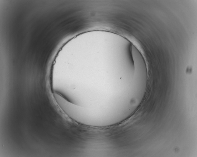 X0000102811104200809150946