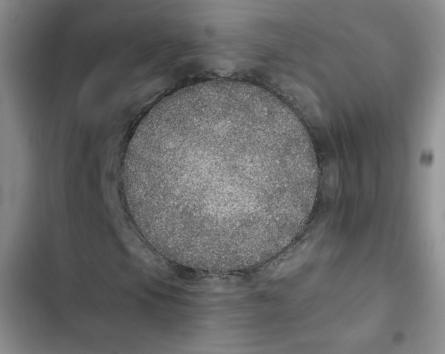 X0000102811105200809150945