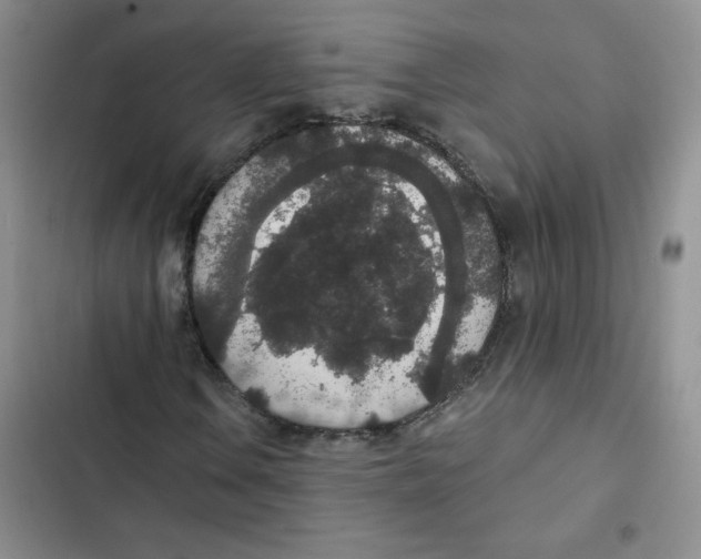 X0000102811106200809150945