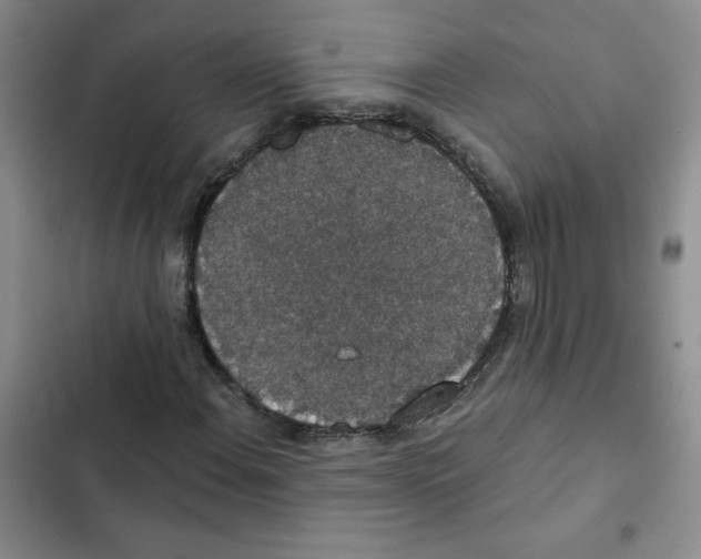 X0000102811108200809150945