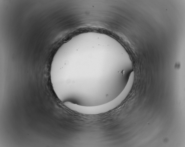 X0000102811110200809150945