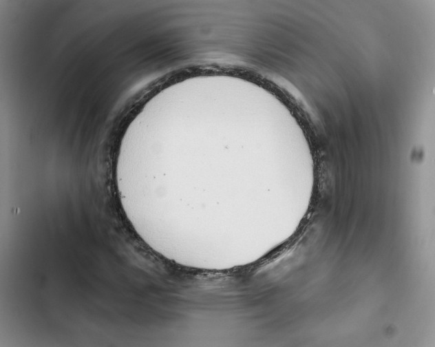 X0000102811112200809150945