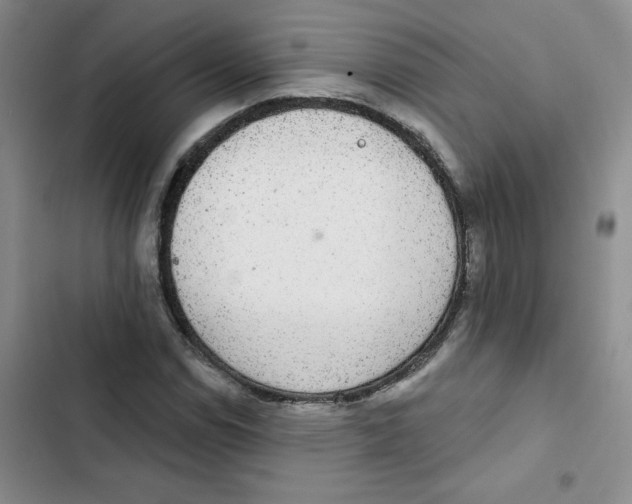 X0000102811114200809150945