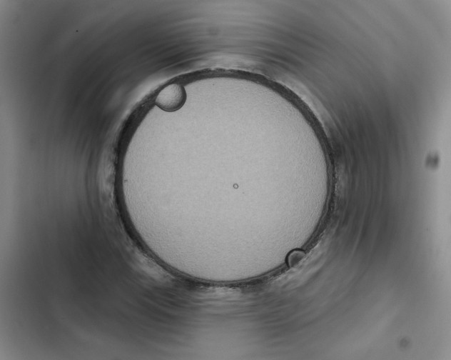 X0000102811115200809150945